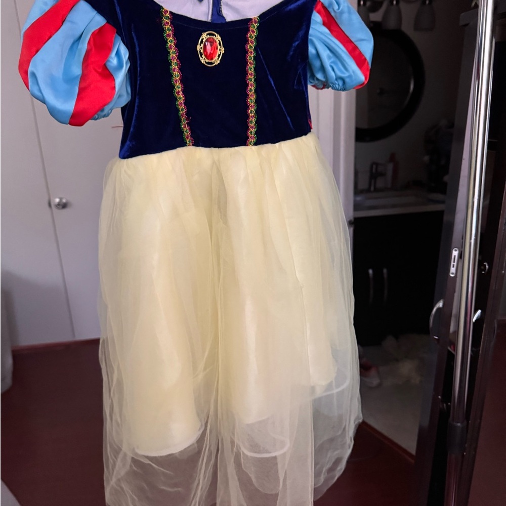 Source Unknown Princess Costume with Blue and Yellow